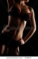 stock-photo-sexy-lingerie-model-posing-in-the-studio-2448619.jpg