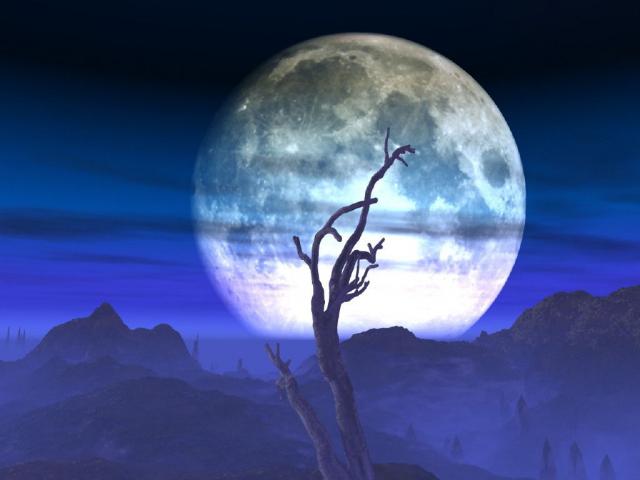 moon012.jpg
